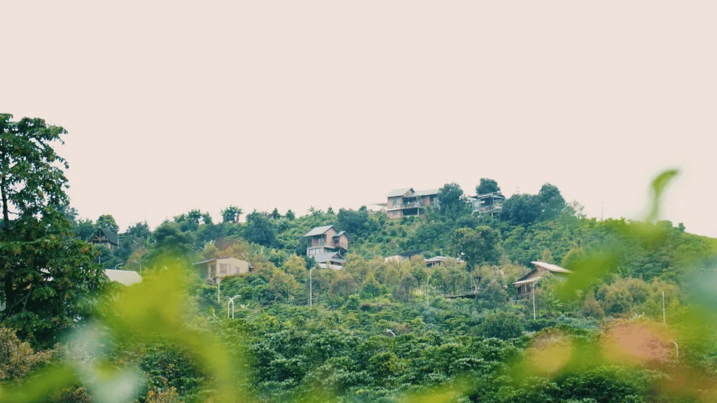 Cộng đồng tri thức là điều không thể vẽ vời.