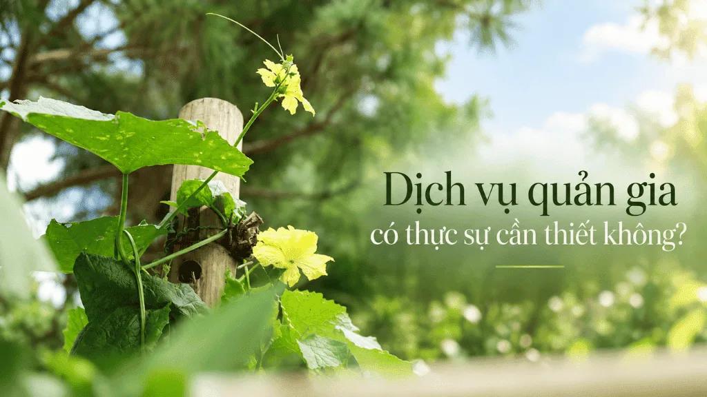 Dịch vụ quản gia có thực sự cần thiết không?