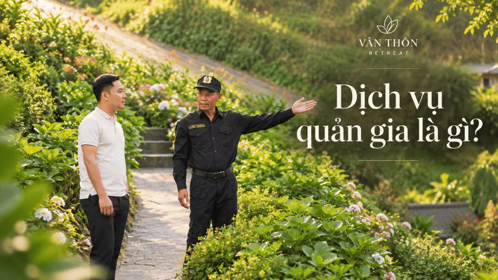 Dịch vụ quản gia là gì?