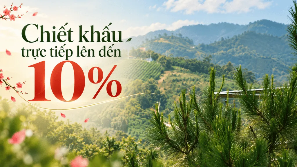 Chiết khấu trực tiếp lên đến 10%
